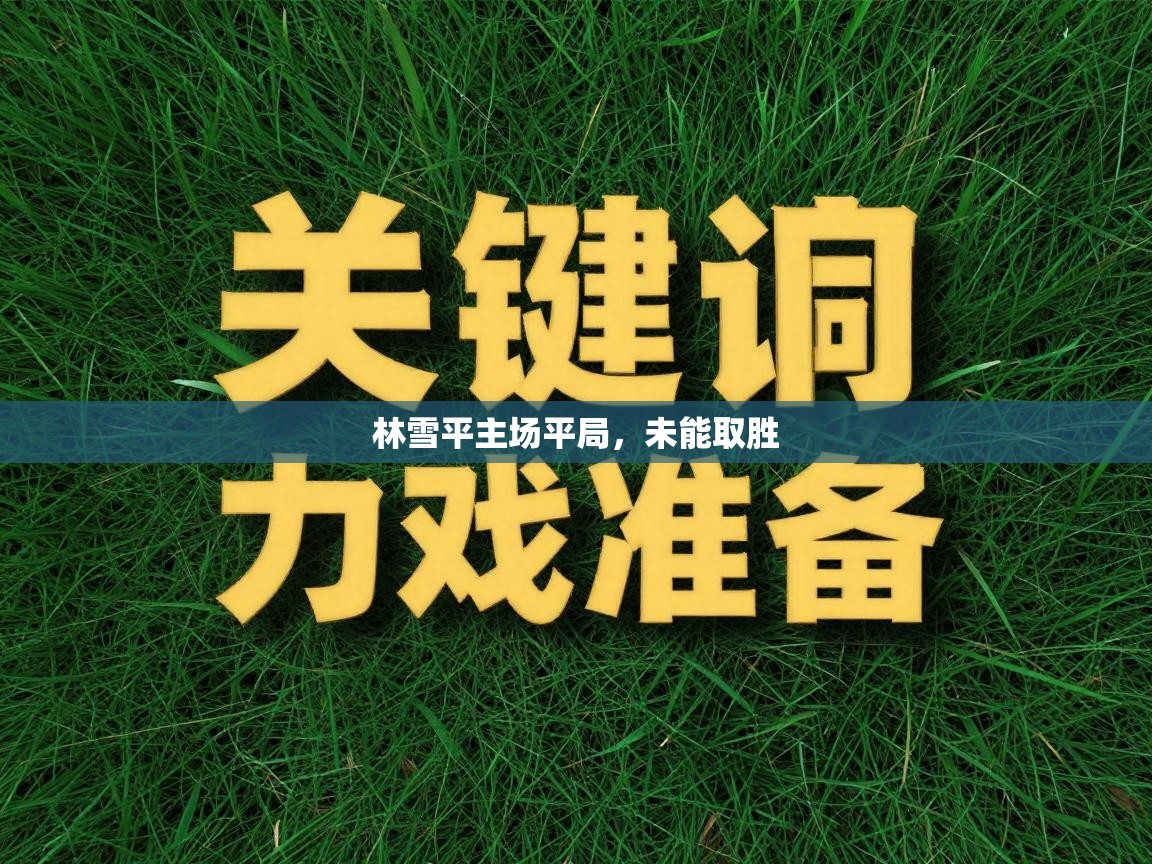 林雪平主场平局，未能取胜  第2张