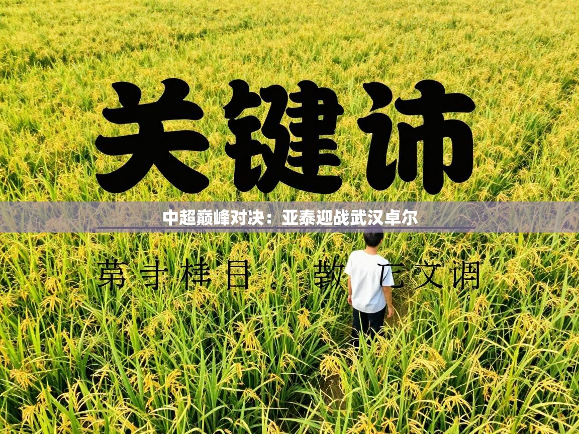 中超巅峰对决:亚泰迎战武汉卓尔 第1张