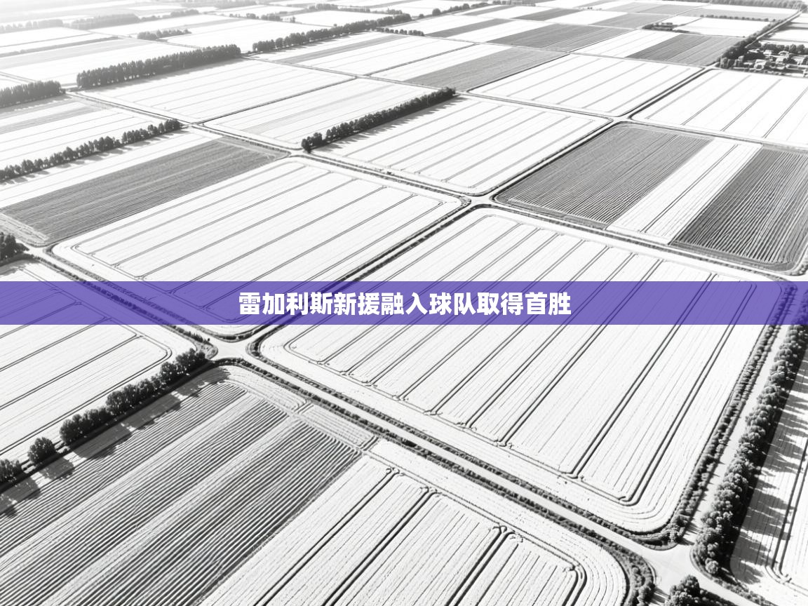 雷加利斯新援融入球队取得首胜  第1张