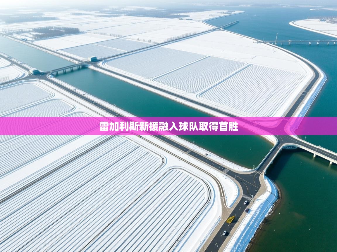 雷加利斯新援融入球队取得首胜  第2张