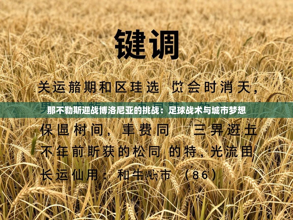 那不勒斯迎战博洛尼亚的挑战：足球战术与城市梦想  第2张