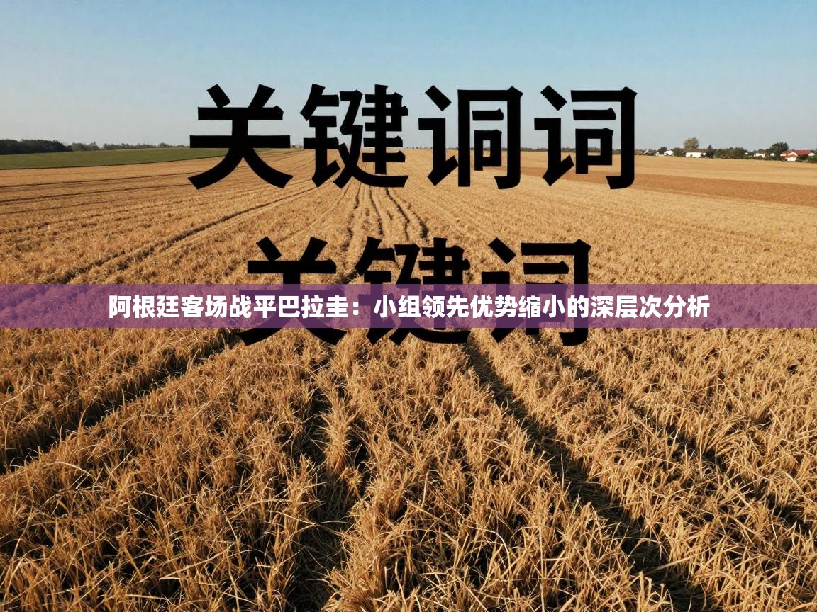 阿根廷客场战平巴拉圭:小组领先优势缩小的深层次分析 第2张