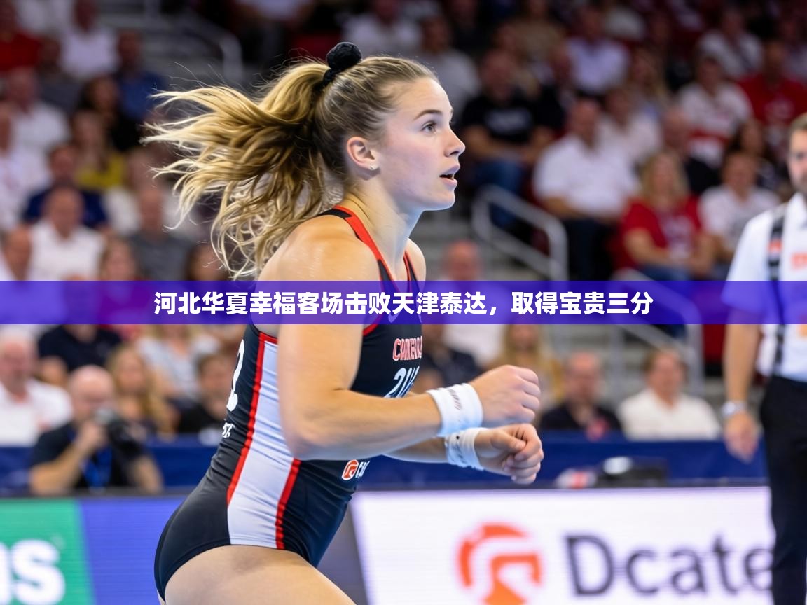 河北华夏幸福客场击败天津泰达，取得宝贵三分  第1张