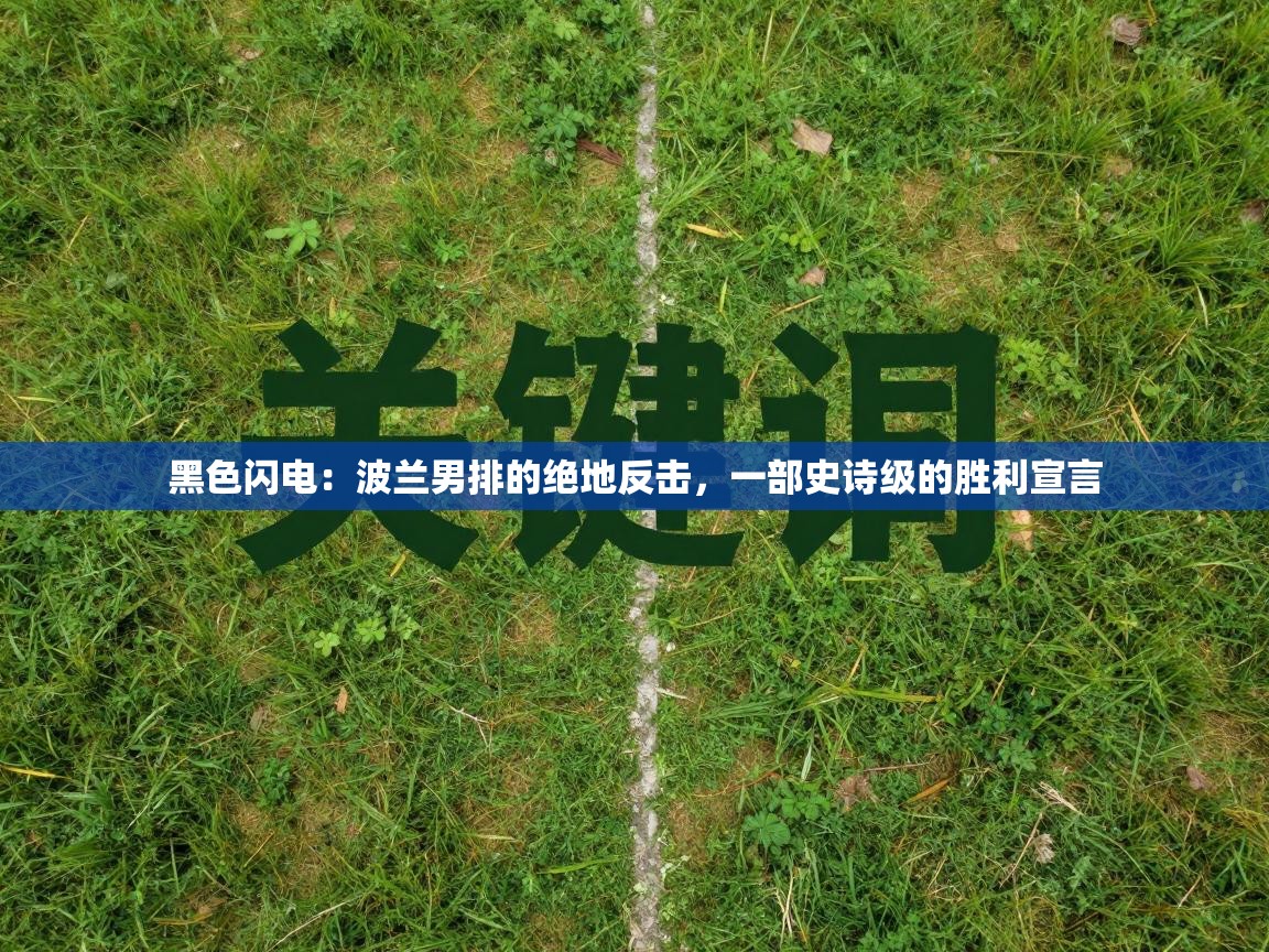 黑色闪电:波兰男排的绝地反击,一部史诗级的胜利宣言 第2张